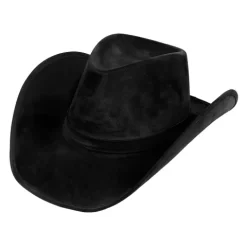Cowboy Hat Wyoming sort
