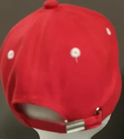 Danmark Kasket med dansk flag