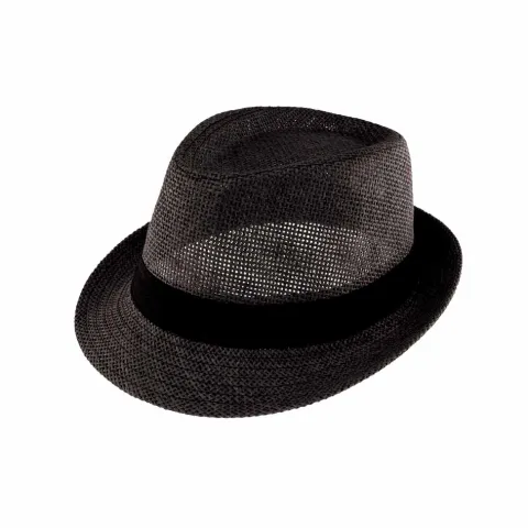 Fedora hat i strå