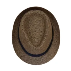 Fedora hat i strå