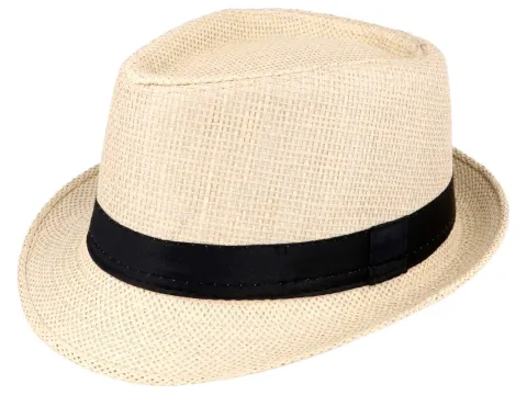 Fedora hat i strå
