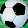 Fodbold slikpose