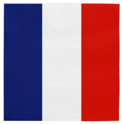 Frankrig flag serviet