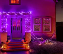 Halloween vindues deko - Kranie
