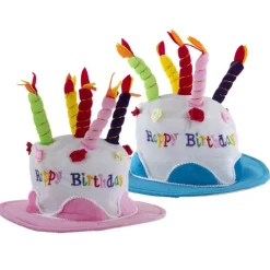 Happy Birthday hat