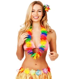 Hawaii krans regnbue