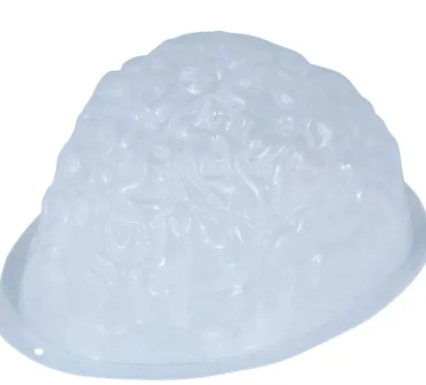 Hjerneform til gelatine - 22x18 cm