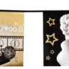 Hollywood flagbanner 6 meter