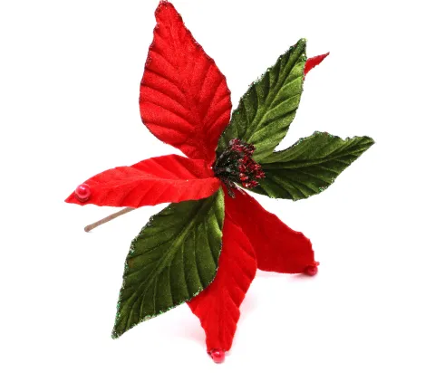 Julestjerne blomst på stilk