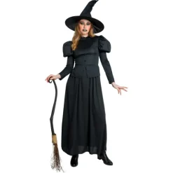 Klassisk Hekse Kostume