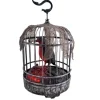 Krage i bur 32cm