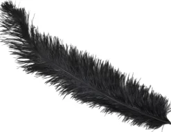 Lange Sorte Strudsefjer – 12 stk 50 cm