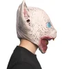 Latex Skræk Kat
