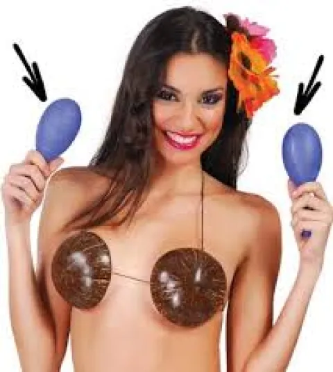 Maracas i plast, 2 stk assorteret farver