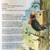 Opvarmnings-program for alle
