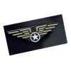 Pilot badge på nål