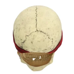 Pirat Crinson Latexmaske