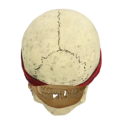 Pirat Crinson Latexmaske
