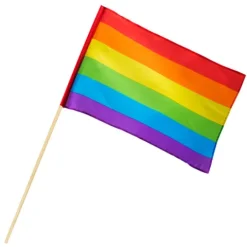 Regnbue farvet Flag på træpind 45x30cm