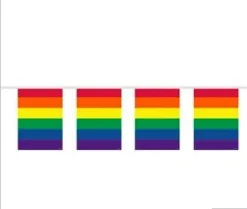 Regnbue Flag guirlande, plast 20x30 cm,10 mtr. 15 flag