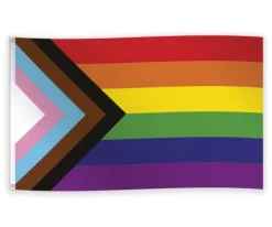 Regnbue flag - Progress