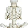 Siddende skelet i polyresin