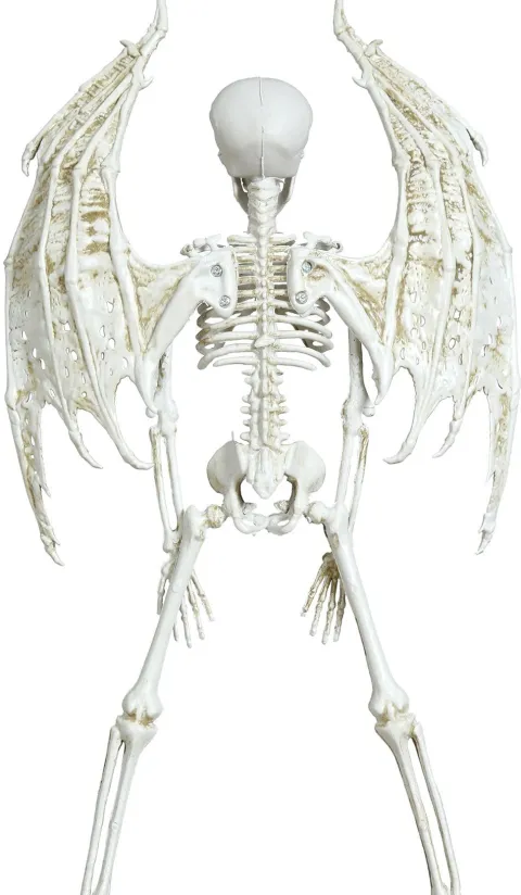 Skeletdjævel 40cm