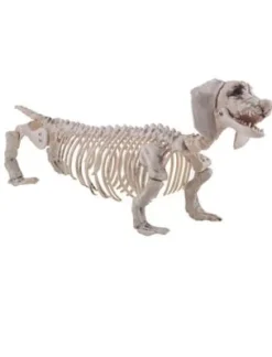 Skelet Gravhund