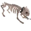 Skelet HUND