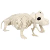 Skelet - Hund