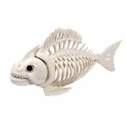 Skelet - Piratfisk