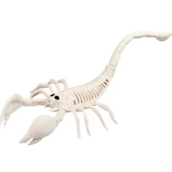 Skelet - Skorpion