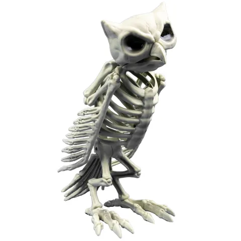 Skelet - Ugle