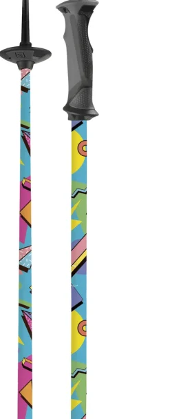 Ski stave popart