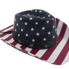 USA Cowboyhat