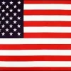 USA Papirflag på pind, A4