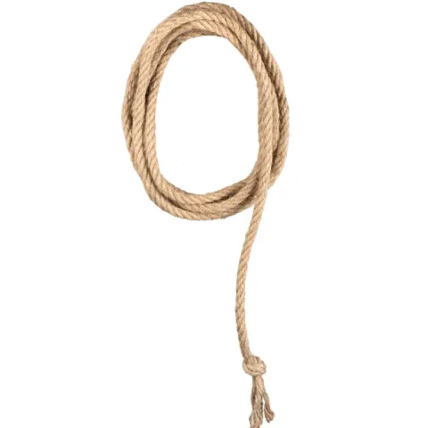 Western Lasso reb