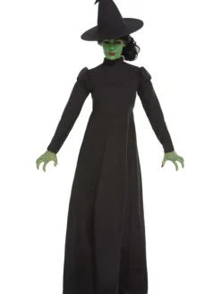 Wicked Witch kostume