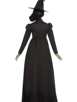 Wicked Witch kostume