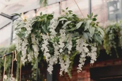 Wisteria guirlande