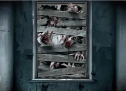 Zombie Vindue cover
